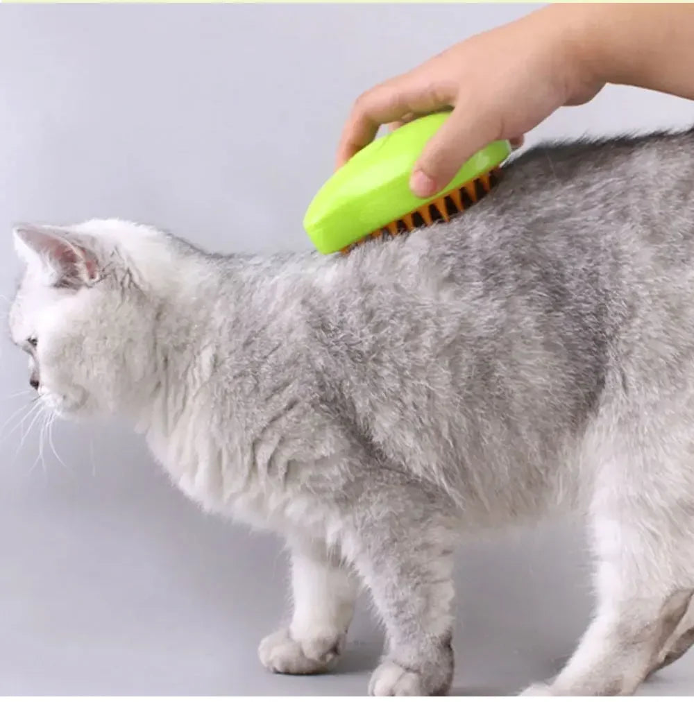 Brosse A Vapeur