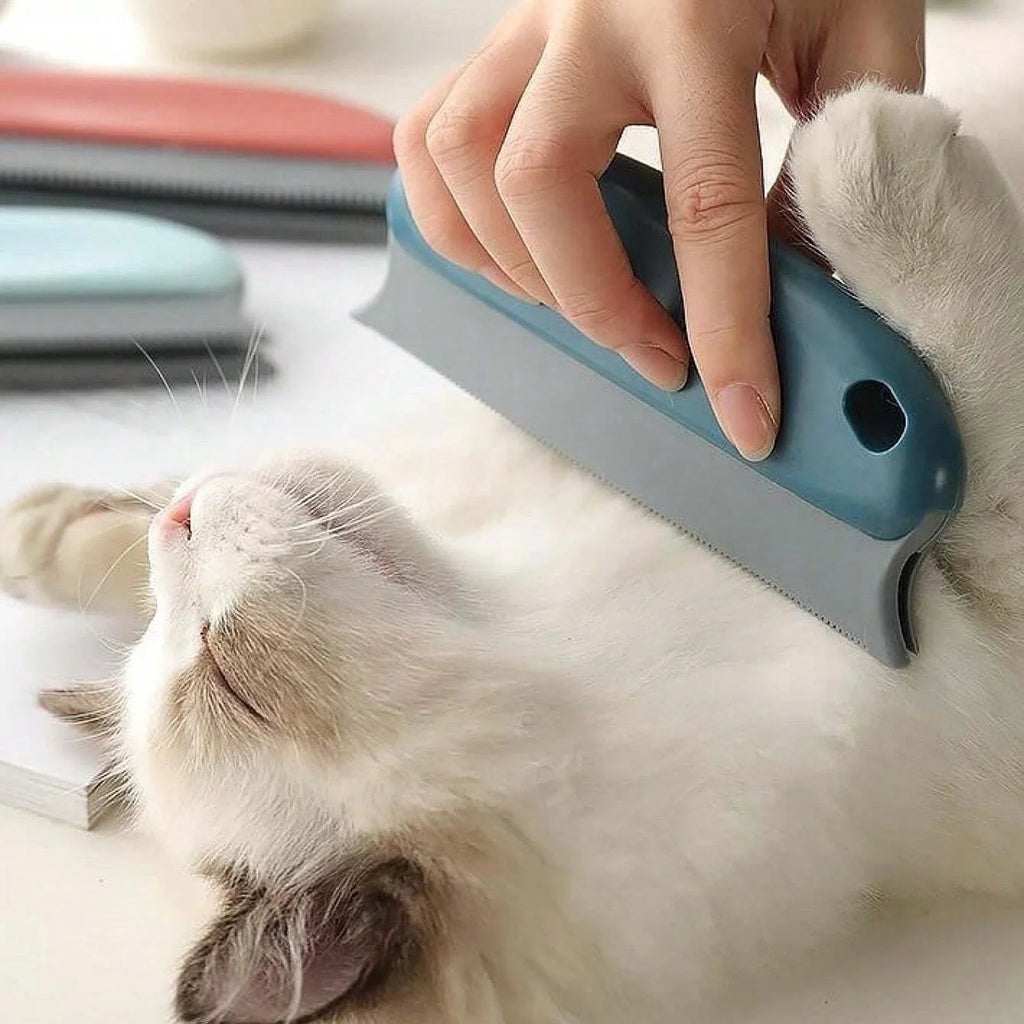 Brosse Epilateur