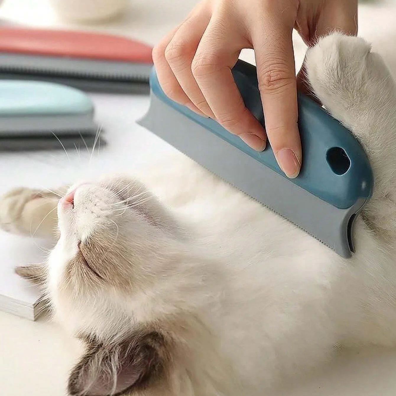 Brosse Epilateur