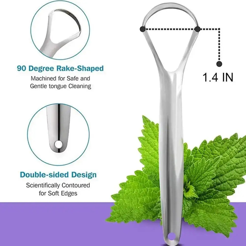 Brosse buccale