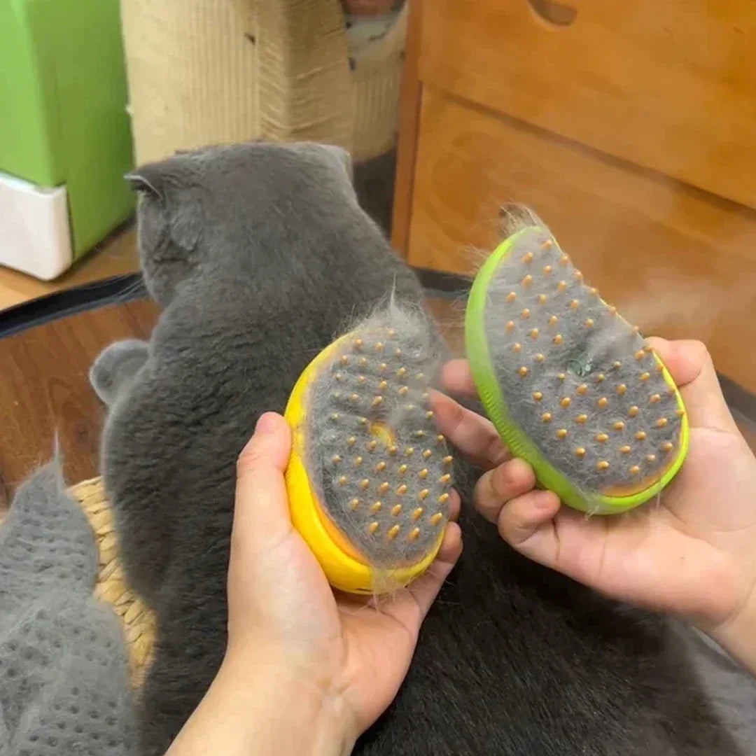 Brosse A Vapeur