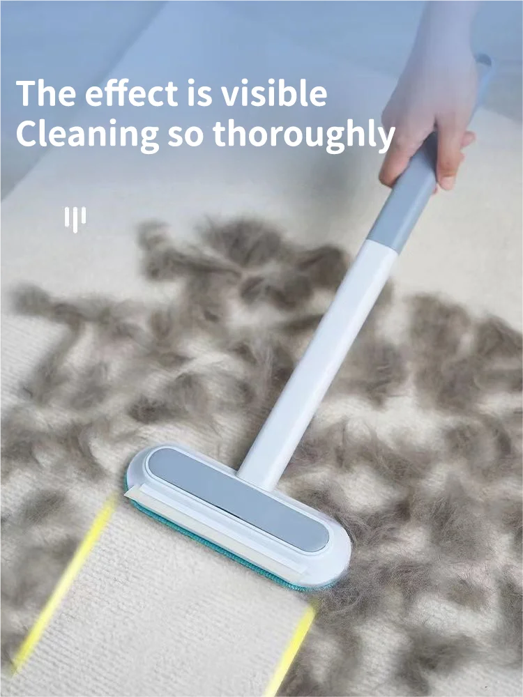 Brosse Anti-Poils