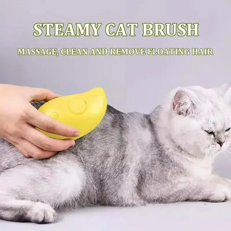 Brosse A Vapeur