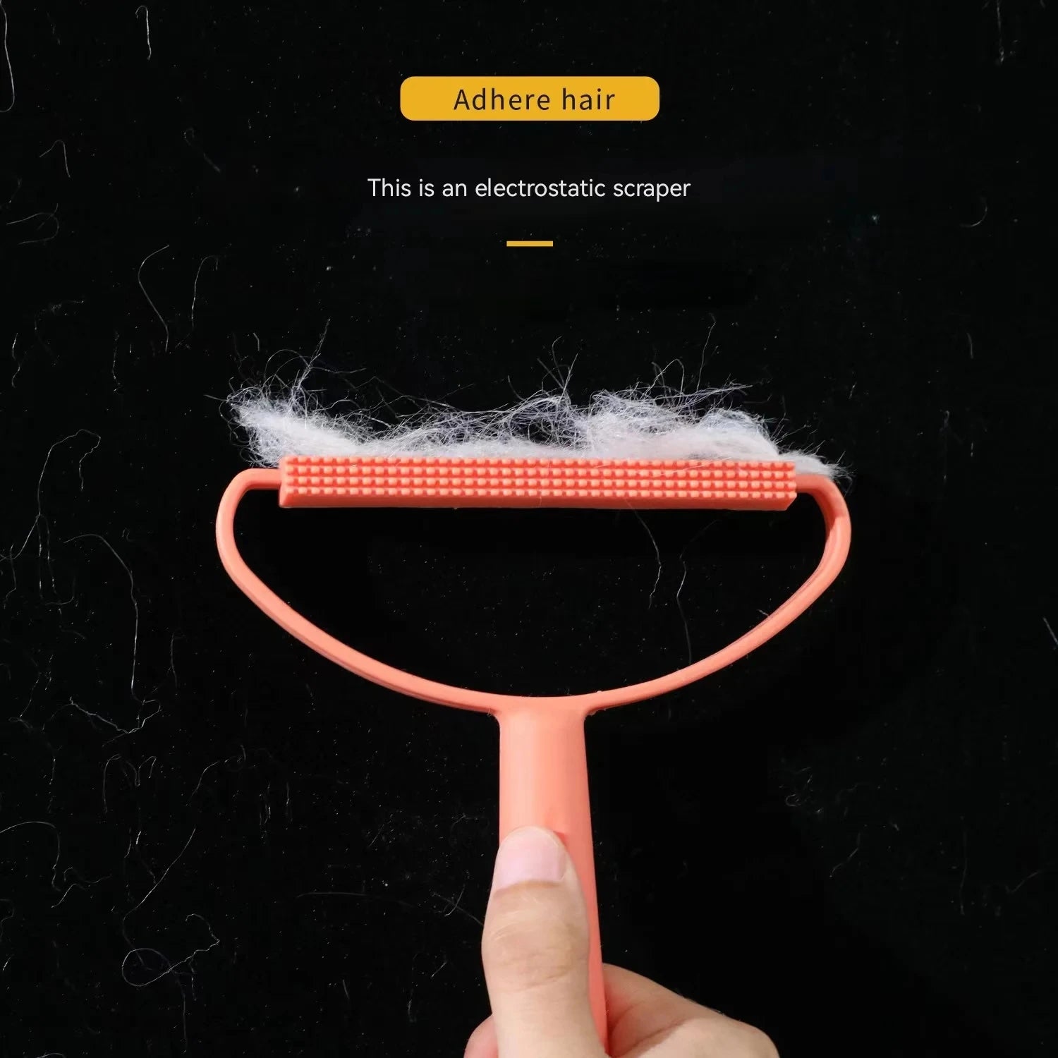 Brosse Anti-Poils