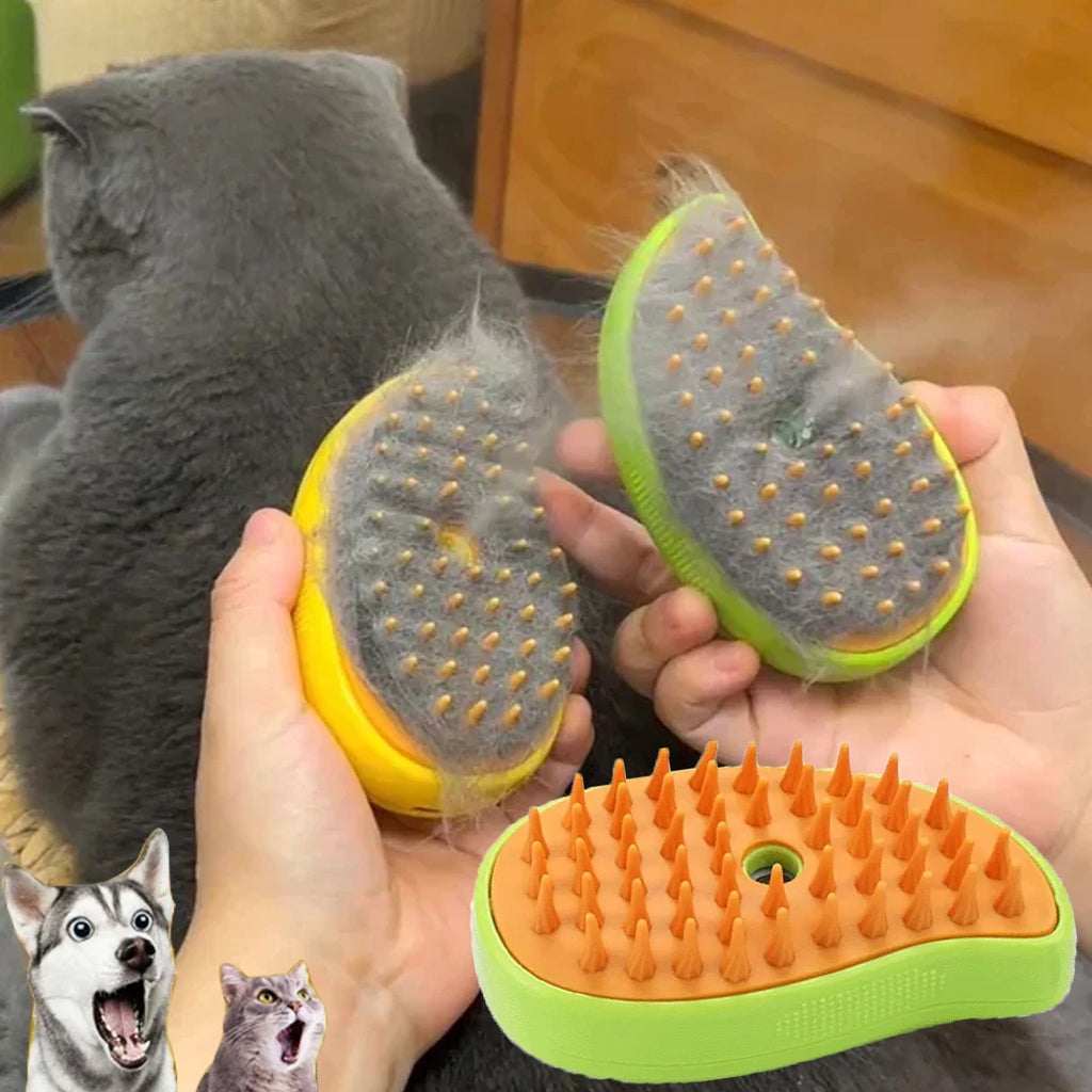 Brosse A Vapeur
